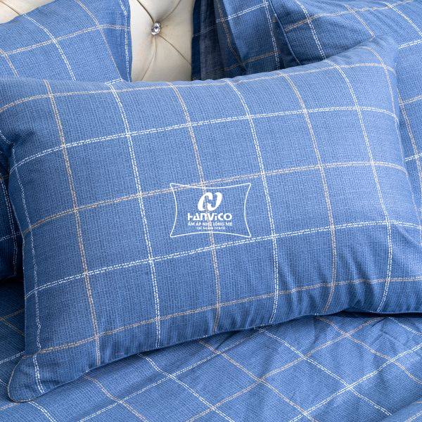 hanvico-bo-ga-boc-chun-lv-57-04