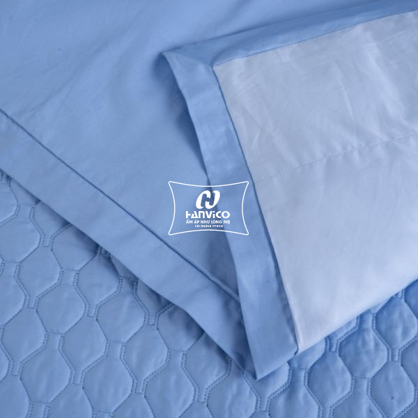 hanvico-bo-ga-phu-bsm-99-05